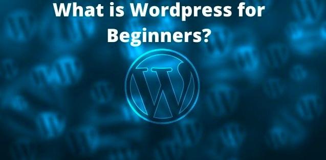 5 easy ways to know What is WordPress? Easy & Simple for Beginners