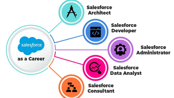 Different Job Roles in Salesforce